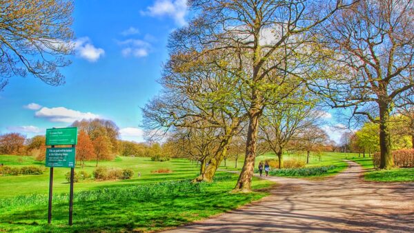 Graves Park