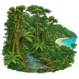 Daintree Rainforest