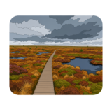 High Fens Nature Reserve