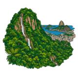 Tijuca National Park Rio de Janeiro
