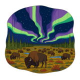 Wood Buffalo National Park