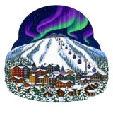 Levi Ski Resort Fell