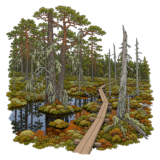 Seitseminen National Park