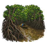 Sundarbans National Park