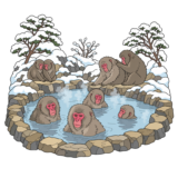 Jigokudani Monkey Park
