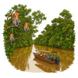 Kinabatangan River Wildlife Corridor