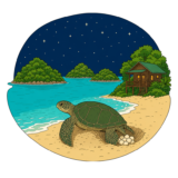 Turtle Islands Park Sabah