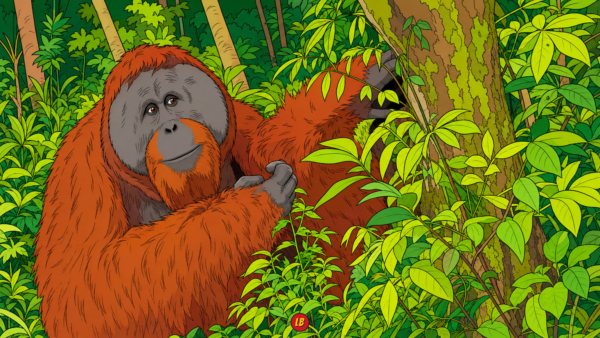 Bukit Lawang Orangutan Sanctuary