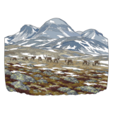 Rondane National Park