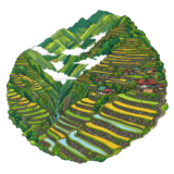 Rice Terraces of the Philippine Cordilleras Banaue
