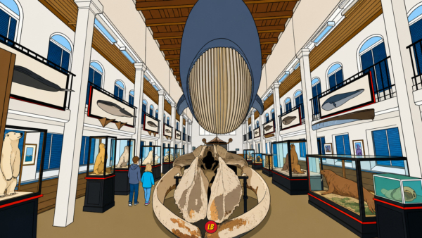 Sandefjord Whaling Museum
