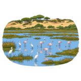 Doñana National Park