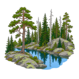Tyresta National Park
