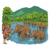 Elephant Nature Park Chiang Mai