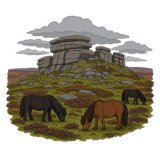 Dartmoor National Park
