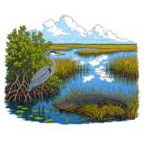 Everglades National Park Florida