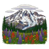Mount Rainier Summit Washington